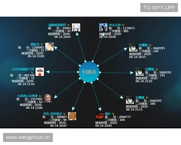 维蒂尼亚为何出现口碑两极分化