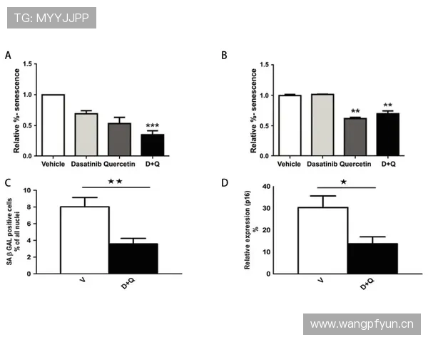 米德尔顿无球效率提升，关键回合得分结构悄然改变